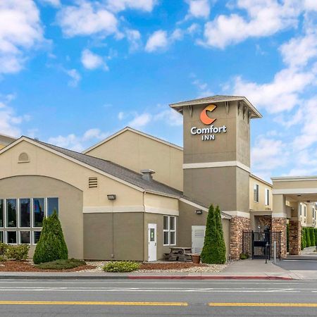 Comfort Inn Arcata Exteriér fotografie